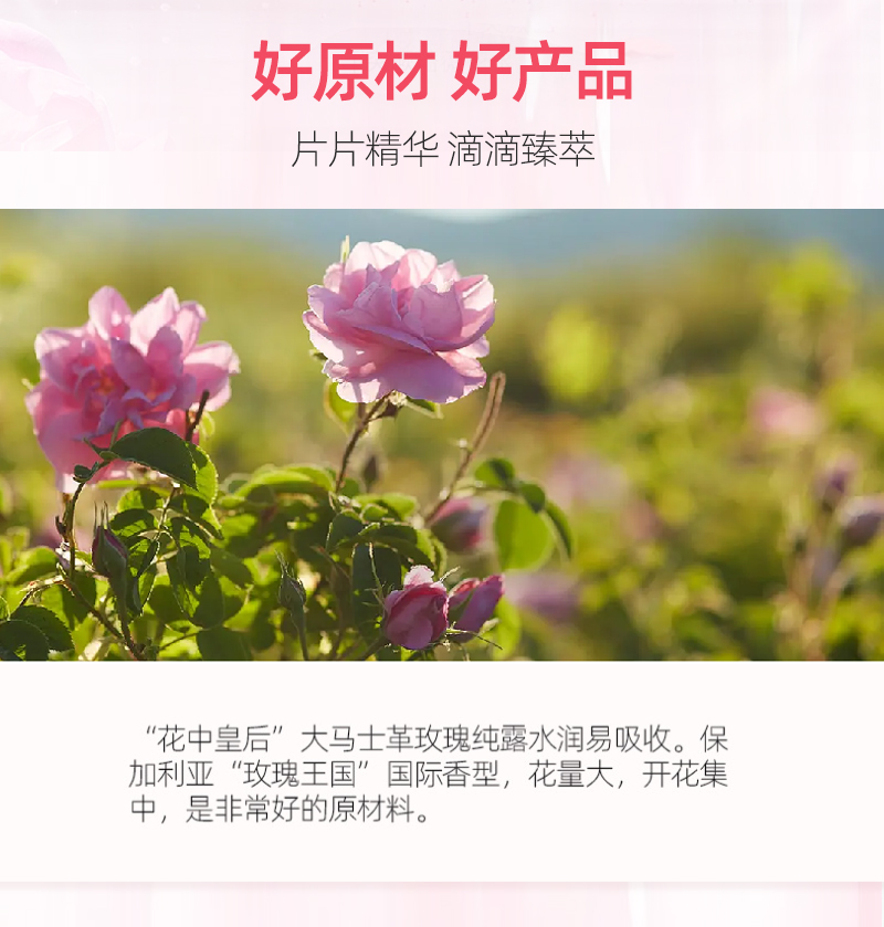 玫瑰花萃精华喷雾详情_06.jpg